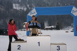 Lenk 2012 SM